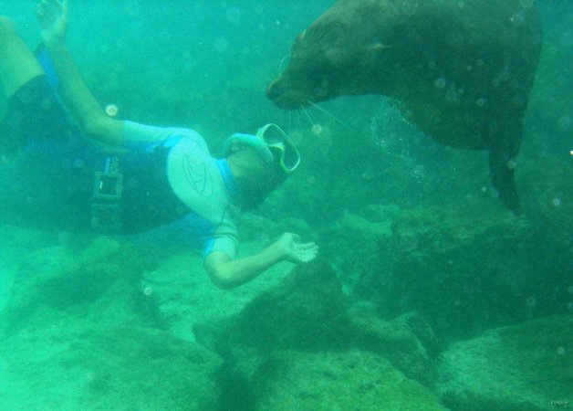 115- Pascal joue avec les otaries a Isla Lobos 